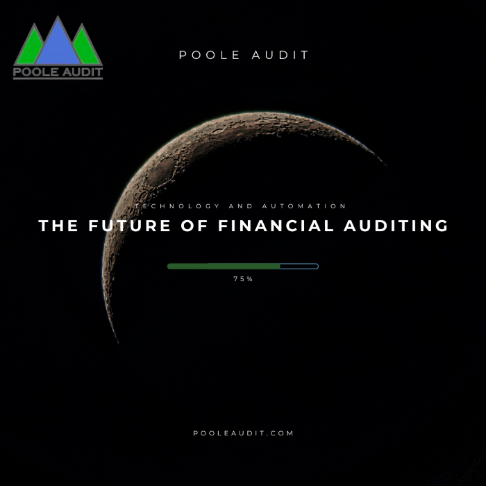 The-Future-of-finacial-auditing-_20240626-150114_1